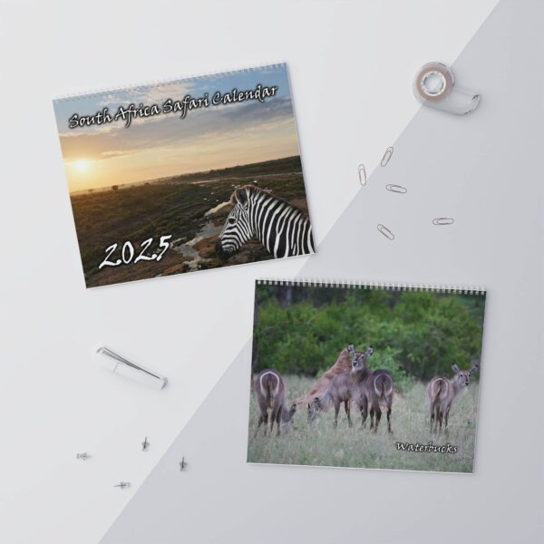 2025 South Africa Safari Wall Calendar - Image 7