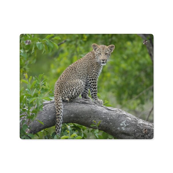 Leopard Cub Acrylic Wall Art - Image 5