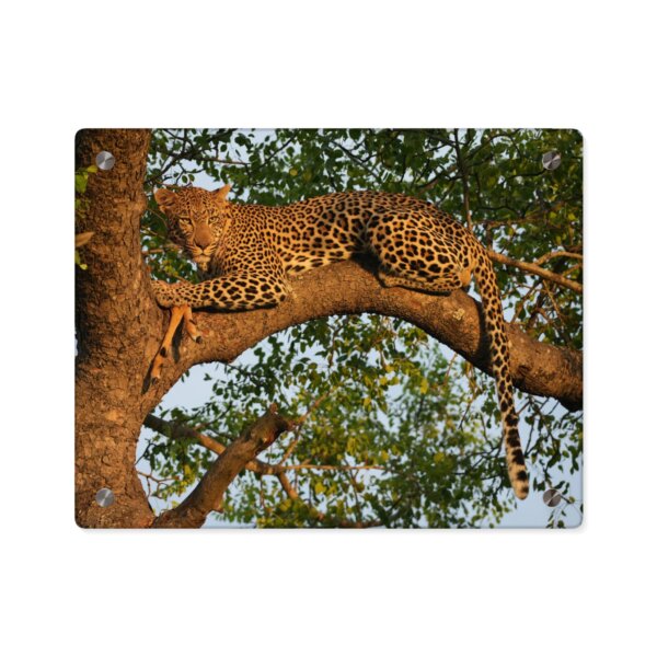 Leopard Acrylic Wall Art - Image 5