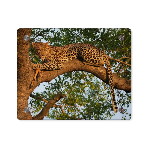 Leopard Acrylic Wall Art - Image 3