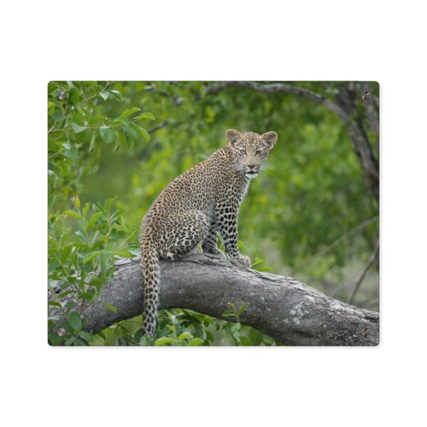 Leopard Cub Acrylic Wall Art - Image 6