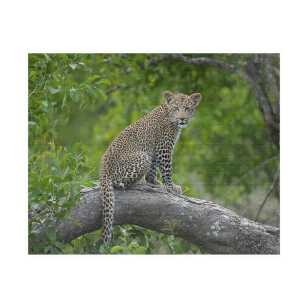 Leopard Puzzle 110, 252, 520, & 1014 Pieces - Image 6