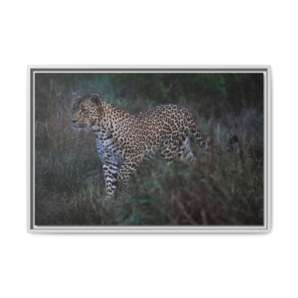 Beautiful Leopard Stalking - Image 5