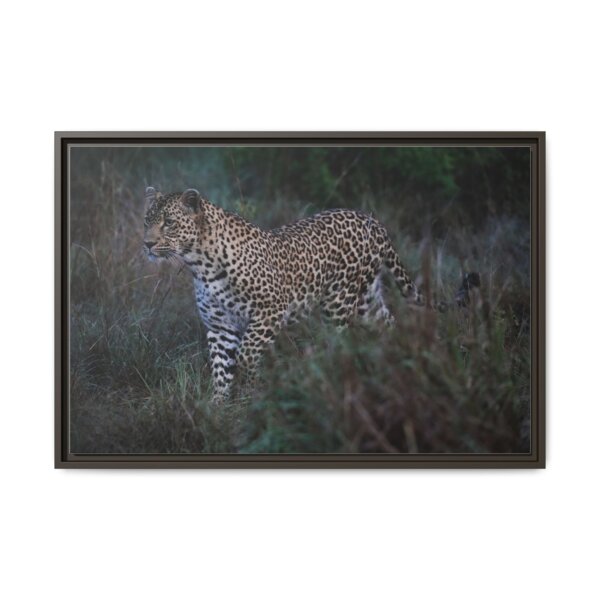 Beautiful Leopard Stalking - Image 3