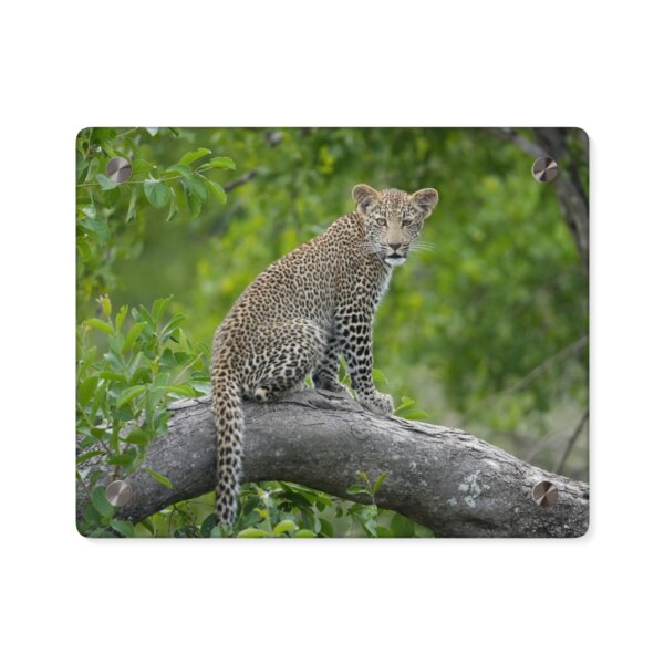 Leopard Cub Acrylic Wall Art - Image 3