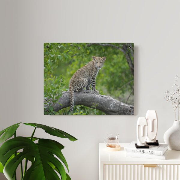 Leopard Cub Acrylic Wall Art - Image 7