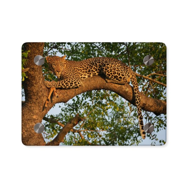 Leopard Acrylic Wall Art