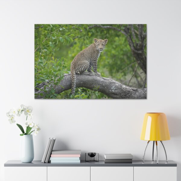 Leopard Cub Wall Art - Image 4