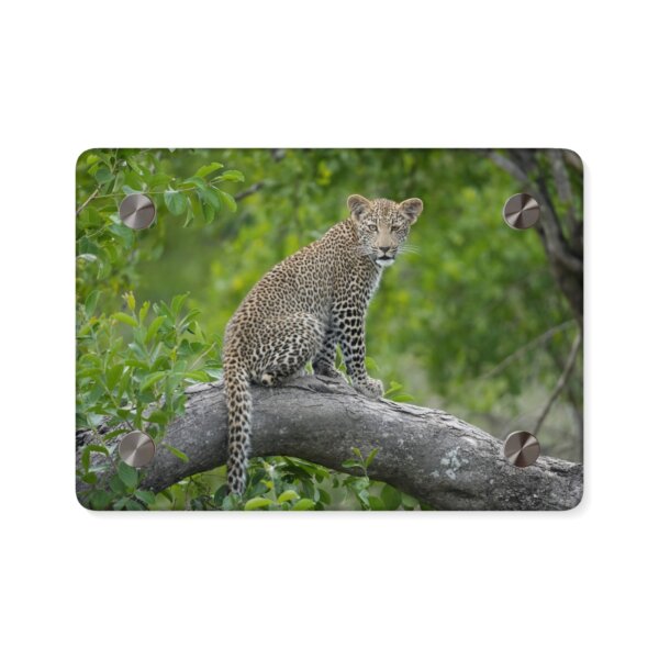 Leopard Cub Acrylic Wall Art