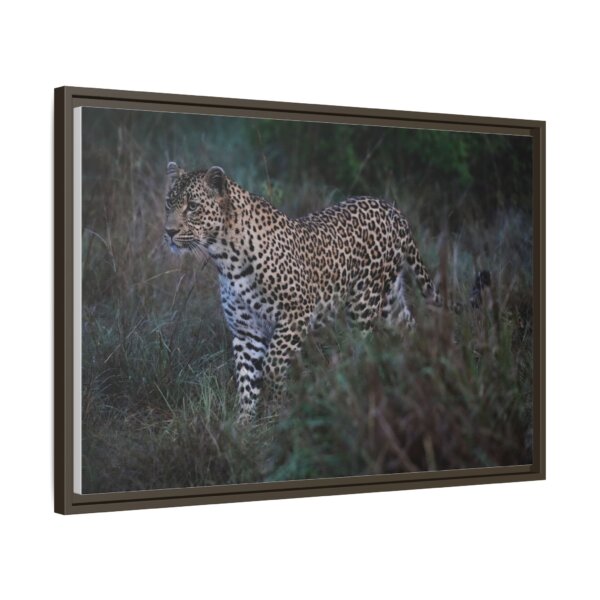 Beautiful Leopard Stalking - Image 4