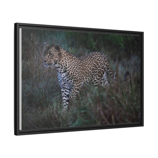 Beautiful Leopard Stalking - Image 2